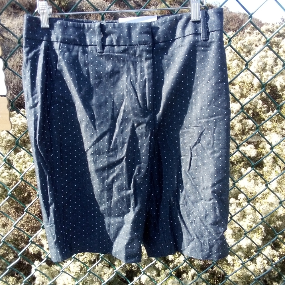 Ann Taylor boardwalk blue pocadot s shorts